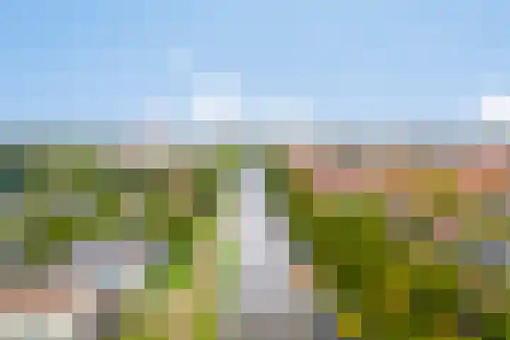 Europaplein 766 Utrecht thumbnail 22