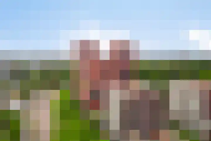 Europaplein 766 Utrecht thumbnail 23
