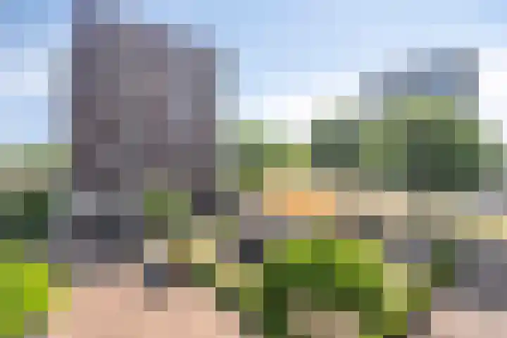 Europaplein 773 Utrecht thumbnail 20