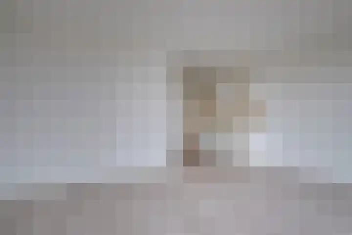 Europaplein 794 Utrecht thumbnail 13