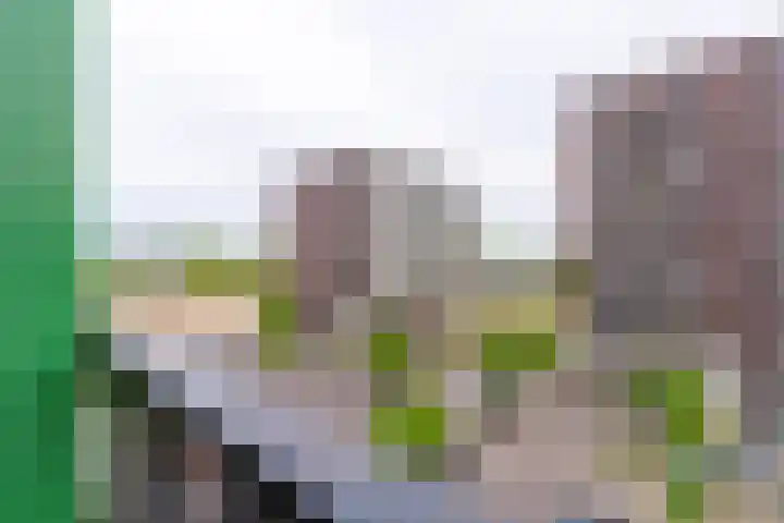 Europaplein 794 Utrecht thumbnail 18