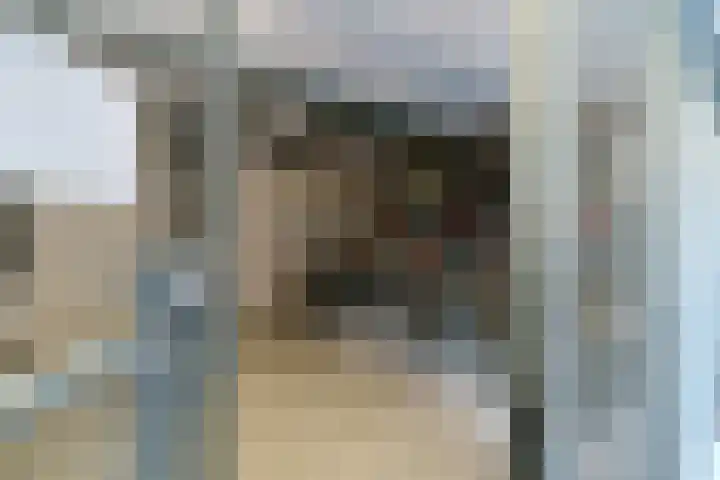Europaplein 794 Utrecht thumbnail 23