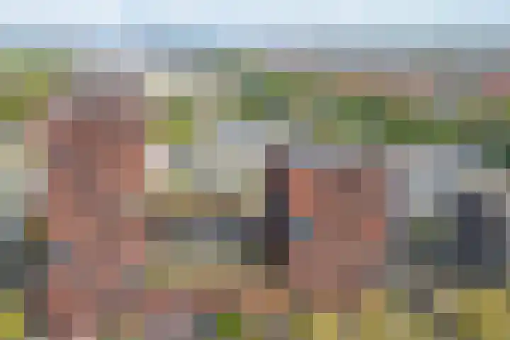 Europaplein 802 Utrecht thumbnail 21