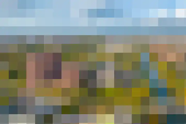 Europaplein 802 Utrecht thumbnail 23