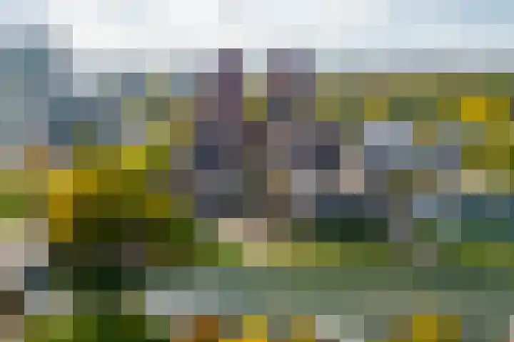 Europaplein 802 Utrecht thumbnail 24