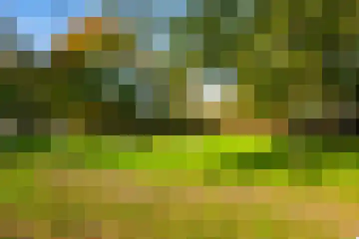 Europaplein 802 Utrecht thumbnail 25