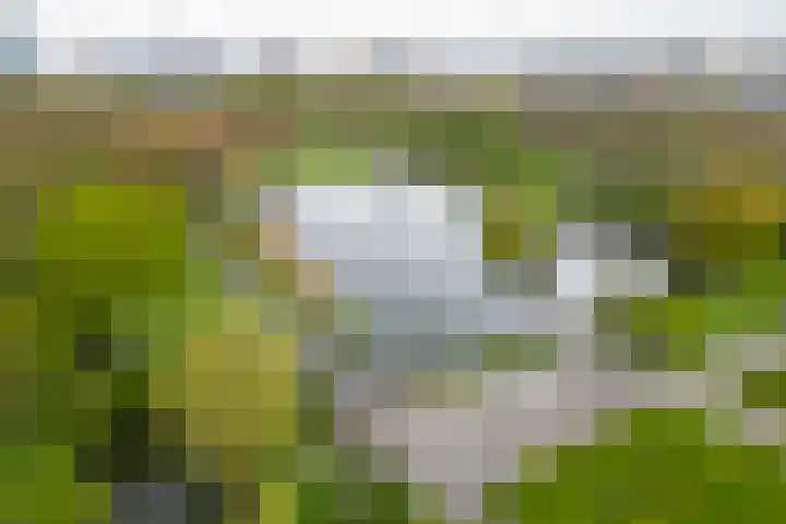Europaplein 802 Utrecht thumbnail 28