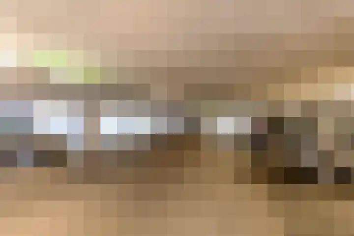 Europaplein 805 Utrecht thumbnail 23