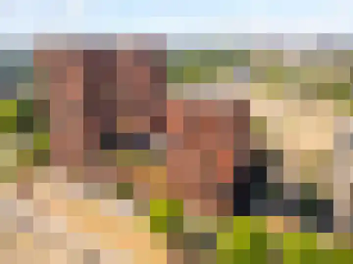 Europaplein 805 Utrecht thumbnail 28