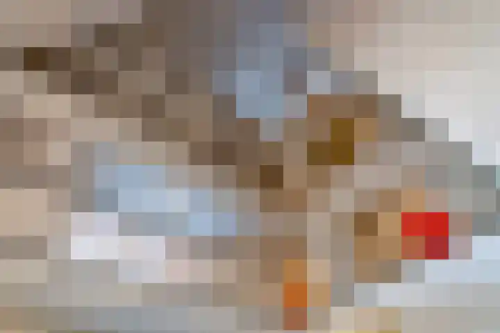 Europaplein 805 Utrecht thumbnail 7