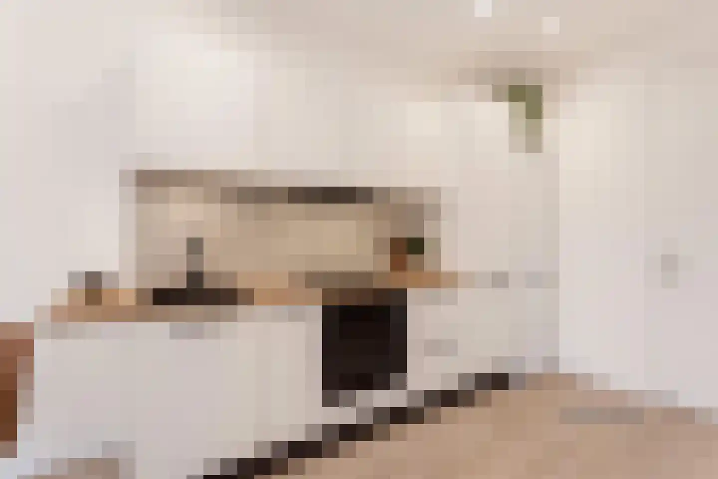 Europaplein 820 Utrecht thumbnail 12