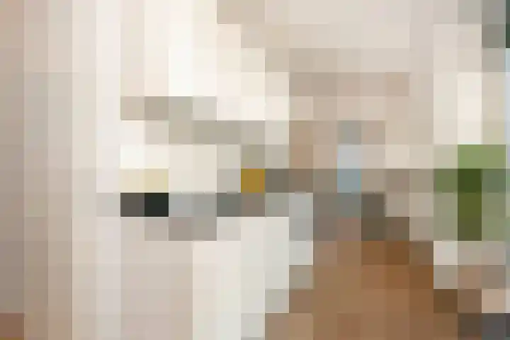 Europaplein 830 Utrecht thumbnail 6