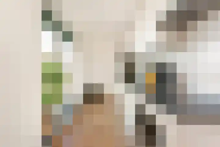 Europaplein 830 Utrecht thumbnail 7