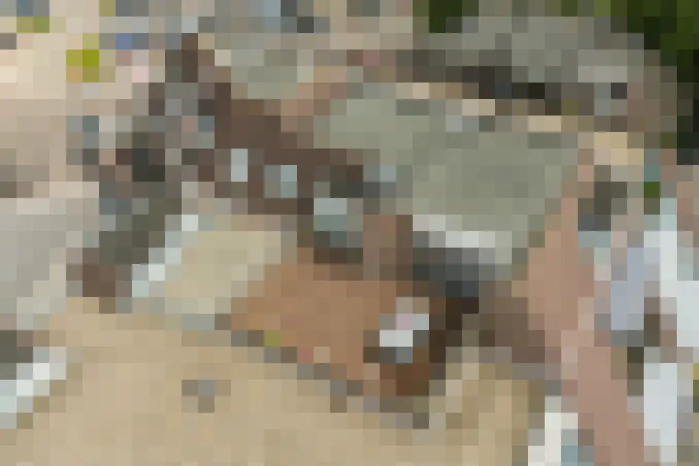 Europaplein 84 Wijchen thumbnail 4