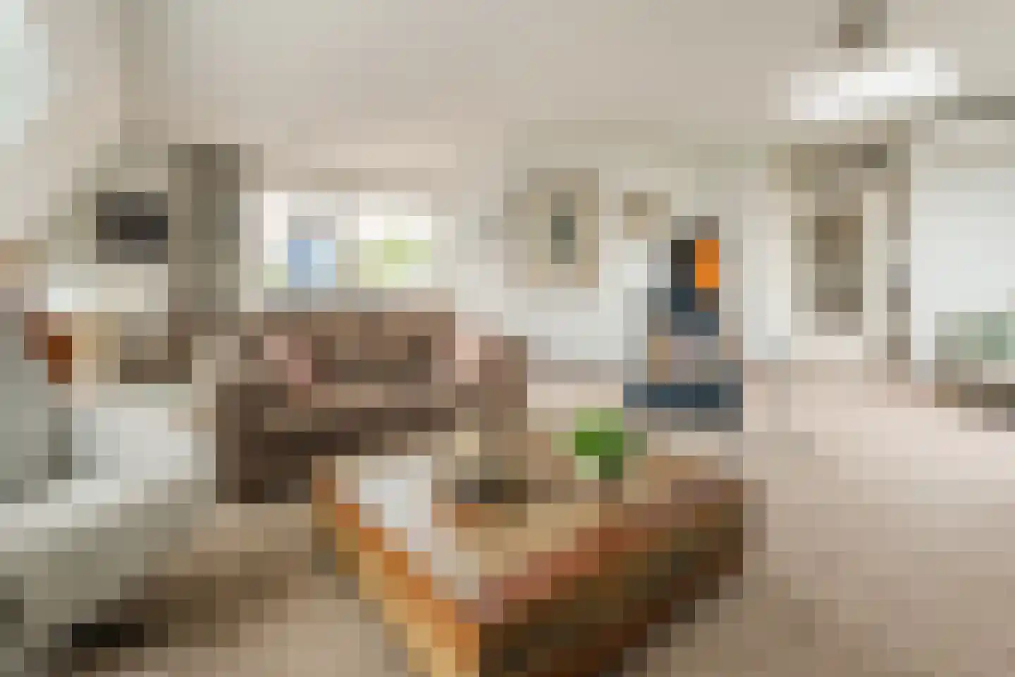 Europaplein 84 Wijchen thumbnail 6