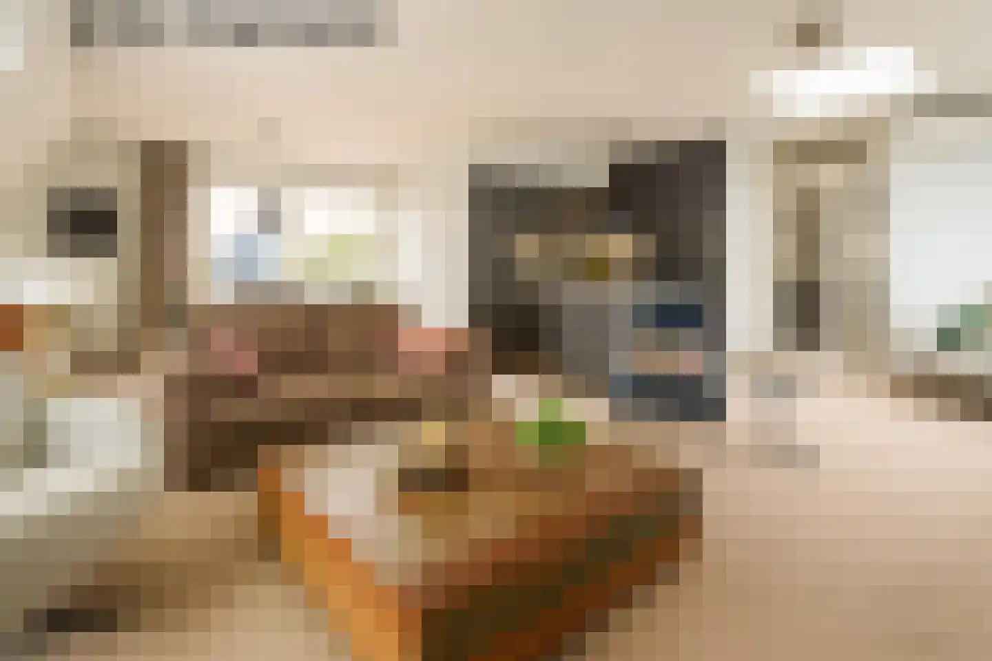 Europaplein 84 Wijchen thumbnail 7