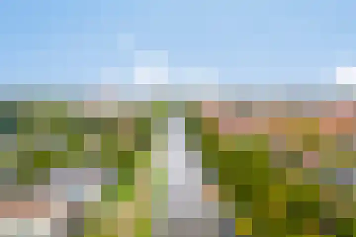 Europaplein 840 Utrecht thumbnail 22