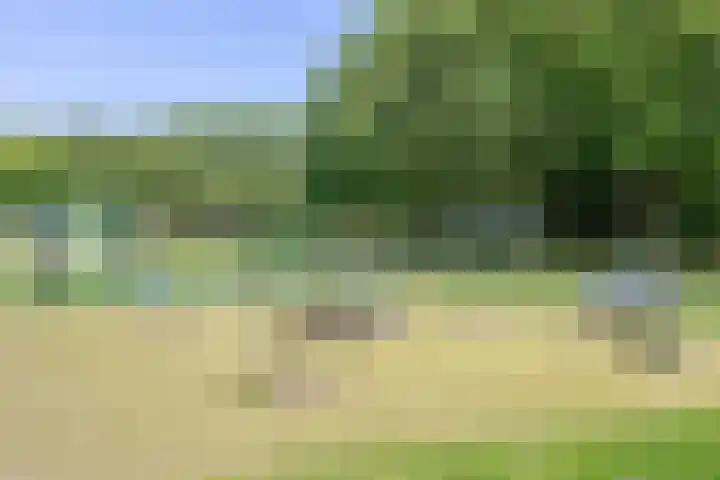 Europaplein 840 Utrecht thumbnail 25
