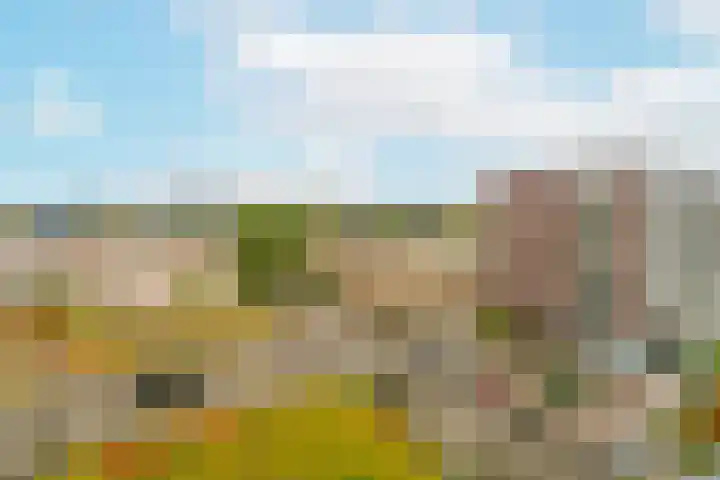 Europaplein 861 Utrecht thumbnail 12