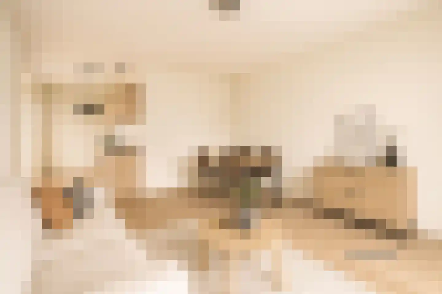 Europaplein 862 Utrecht thumbnail 7