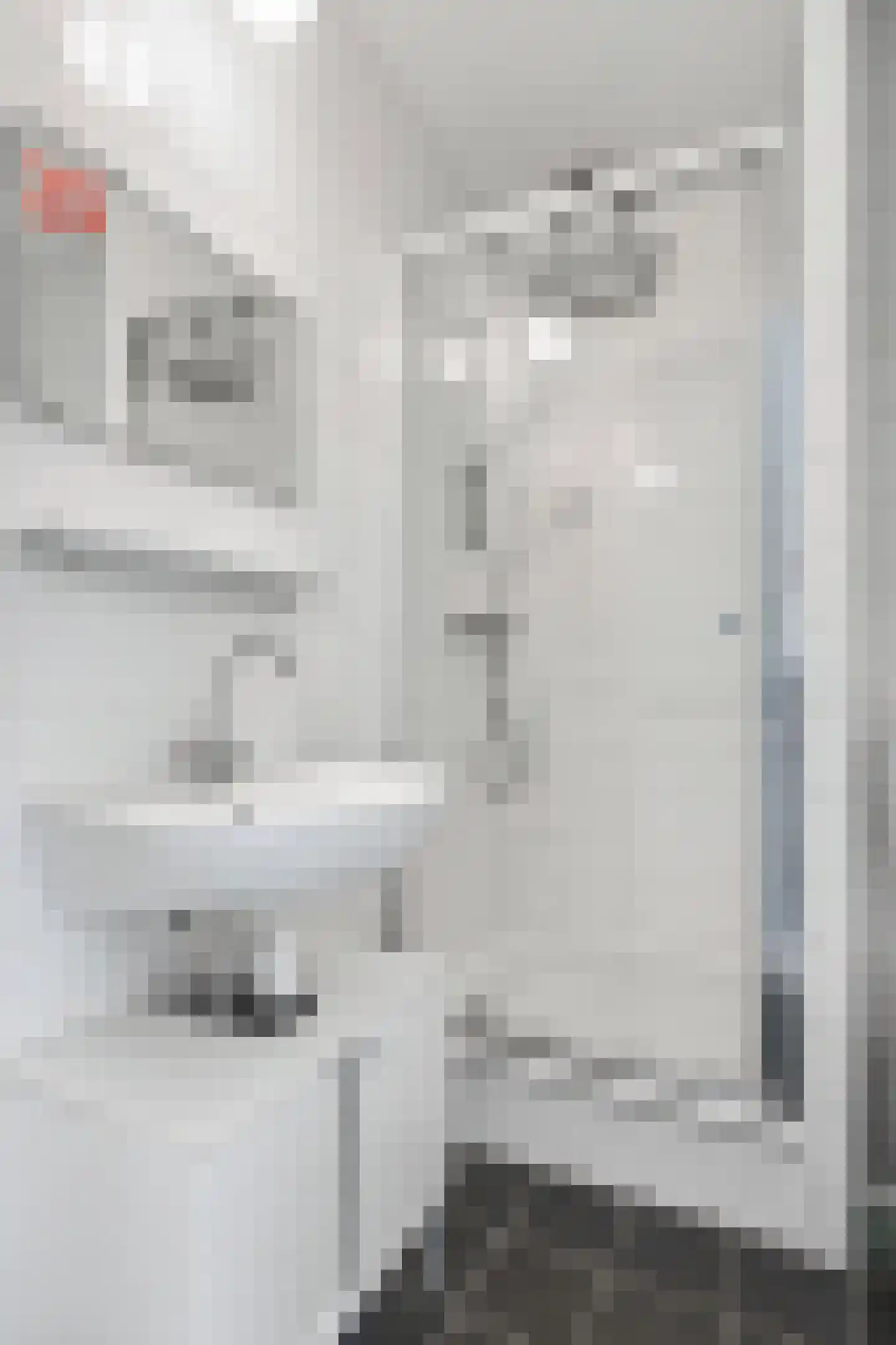 Europaplein 881 Utrecht thumbnail 13