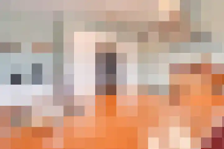 Europaplein 9 Alkmaar thumbnail 12