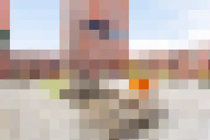 Europaplein 910 Utrecht thumbnail 12