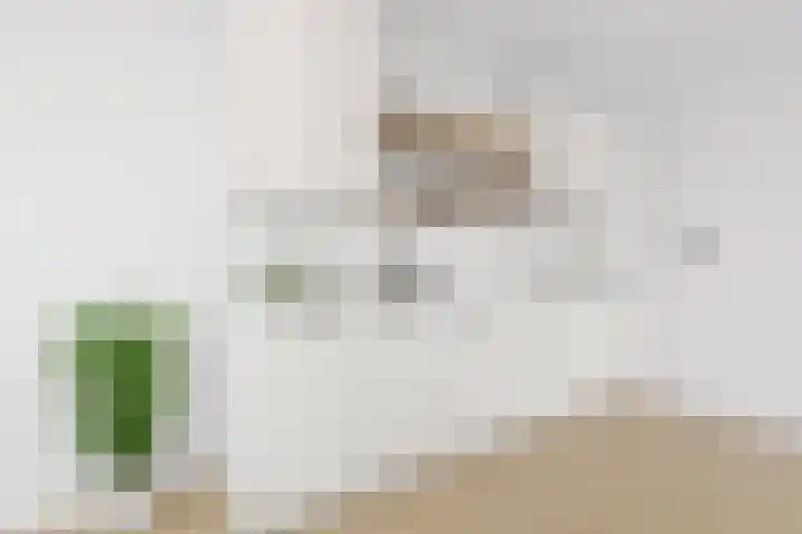 Europaplein 910 Utrecht thumbnail 6