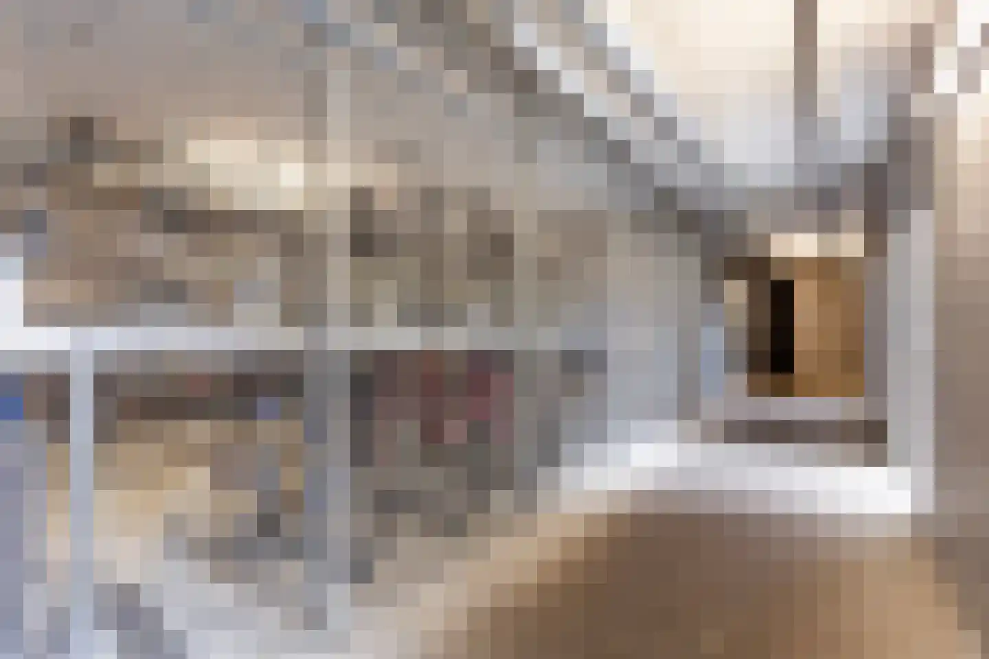 Europaplein 922 Utrecht thumbnail 18