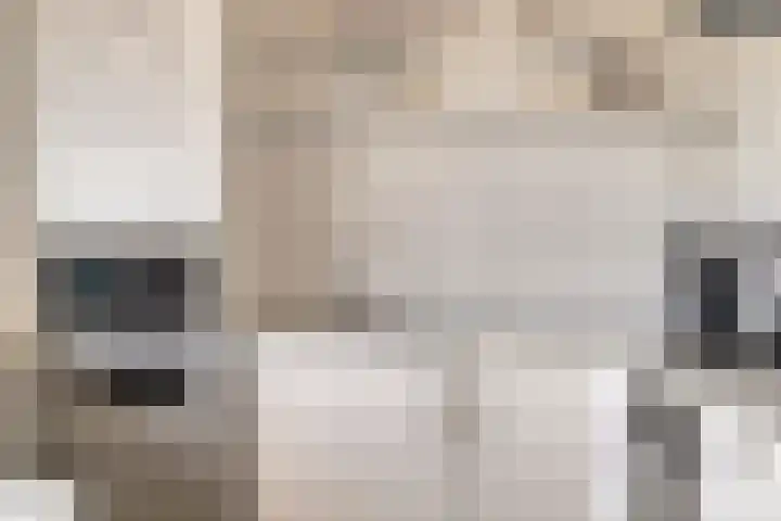 Europaplein 94 Dongen thumbnail 18
