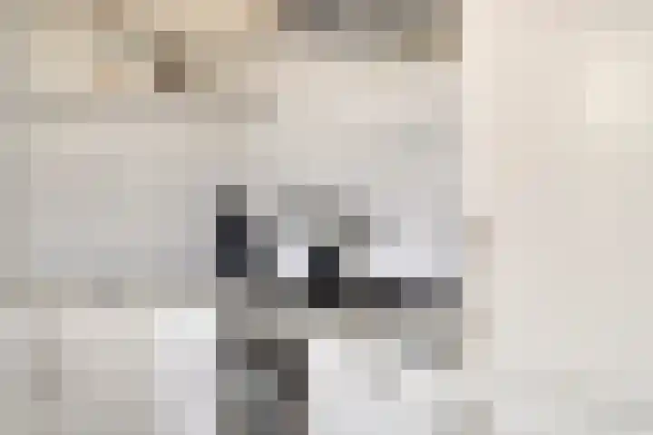 Europaplein 94 Dongen thumbnail 20