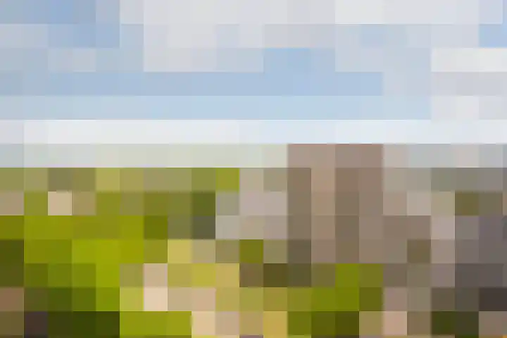 Europaplein 959 Utrecht thumbnail 12