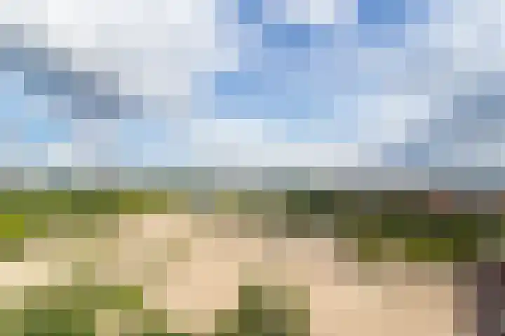 Europaplein 965 Utrecht thumbnail 14