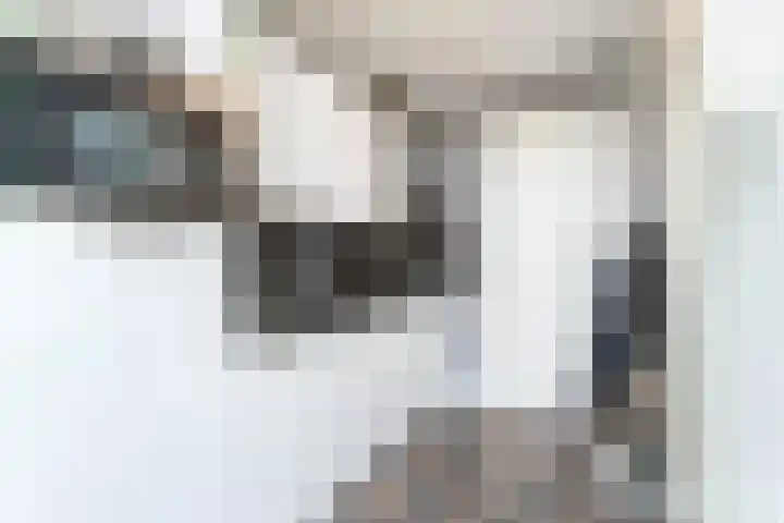 Europaplein 965 Utrecht thumbnail 7