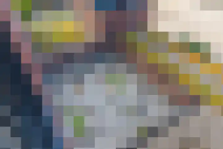 Europaplein 967 Utrecht thumbnail 18