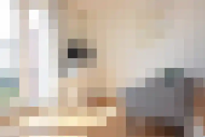 Europaplein 969 Utrecht thumbnail 4