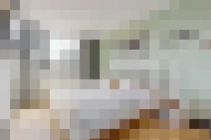 Europarei 19 Uithoorn thumbnail 13