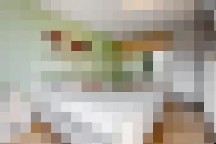 Europarei 19 Uithoorn thumbnail 14