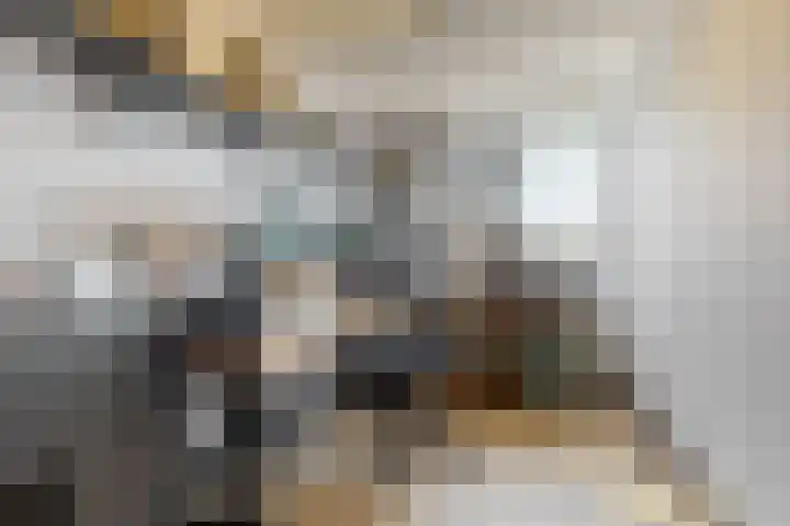 Europarei 19 Uithoorn thumbnail 15