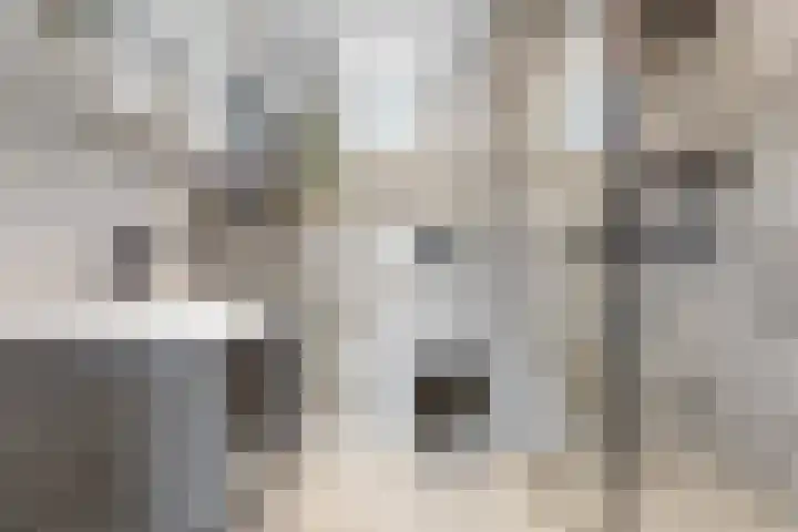 Europarei 19 Uithoorn thumbnail 16