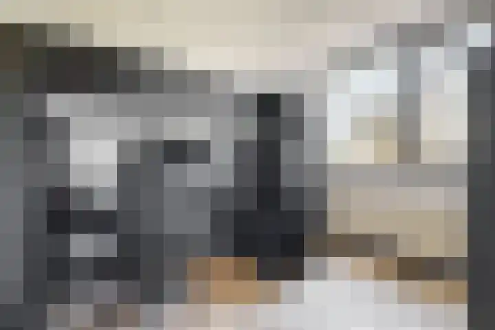 Europarei 19 Uithoorn thumbnail 18