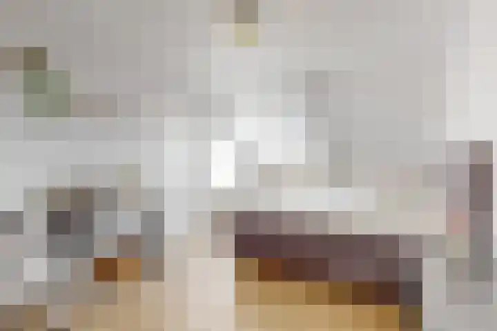 Europarei 19 Uithoorn thumbnail 21