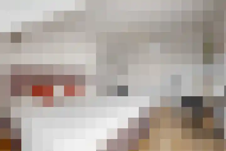 Europarei 19 Uithoorn thumbnail 22