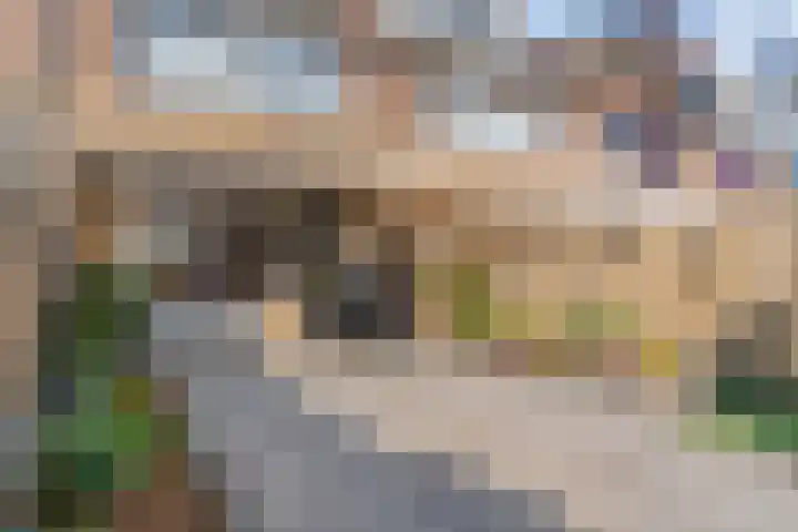 Europarei 19 Uithoorn thumbnail 25