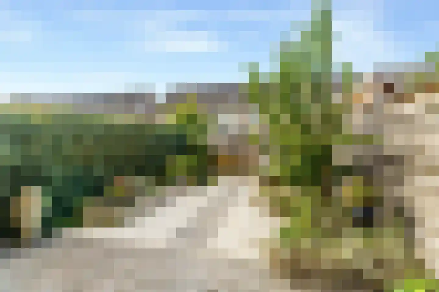 Europarei 30 Uithoorn thumbnail 22