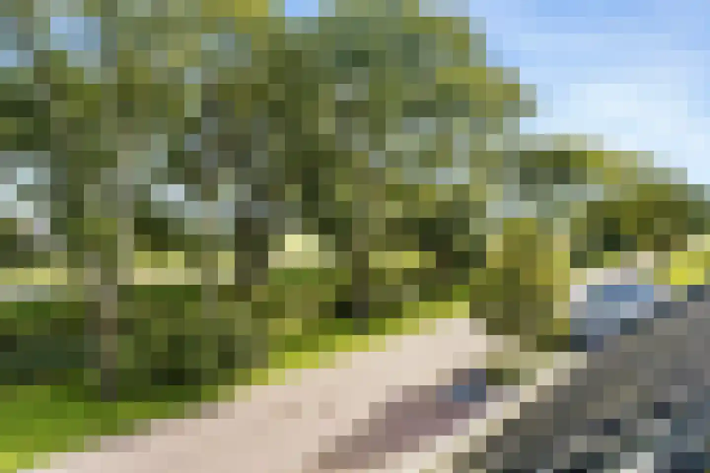 Europarei 30 Uithoorn thumbnail 31
