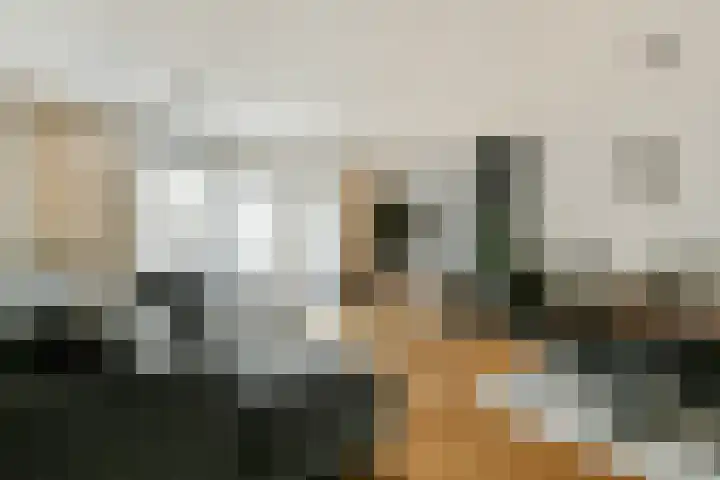 Europarei 52 Uithoorn thumbnail 11