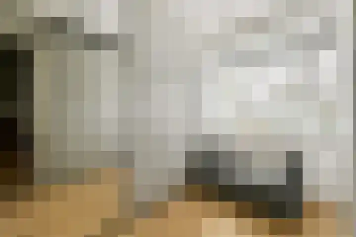 Europarei 52 Uithoorn thumbnail 30