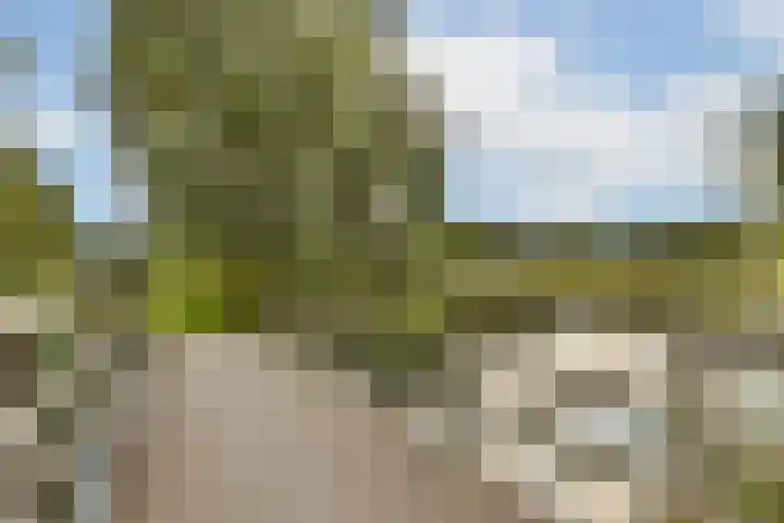Europarei 52 Uithoorn thumbnail 35