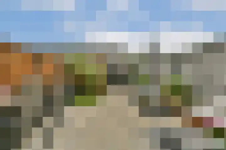 Europarei 52 Uithoorn thumbnail 5